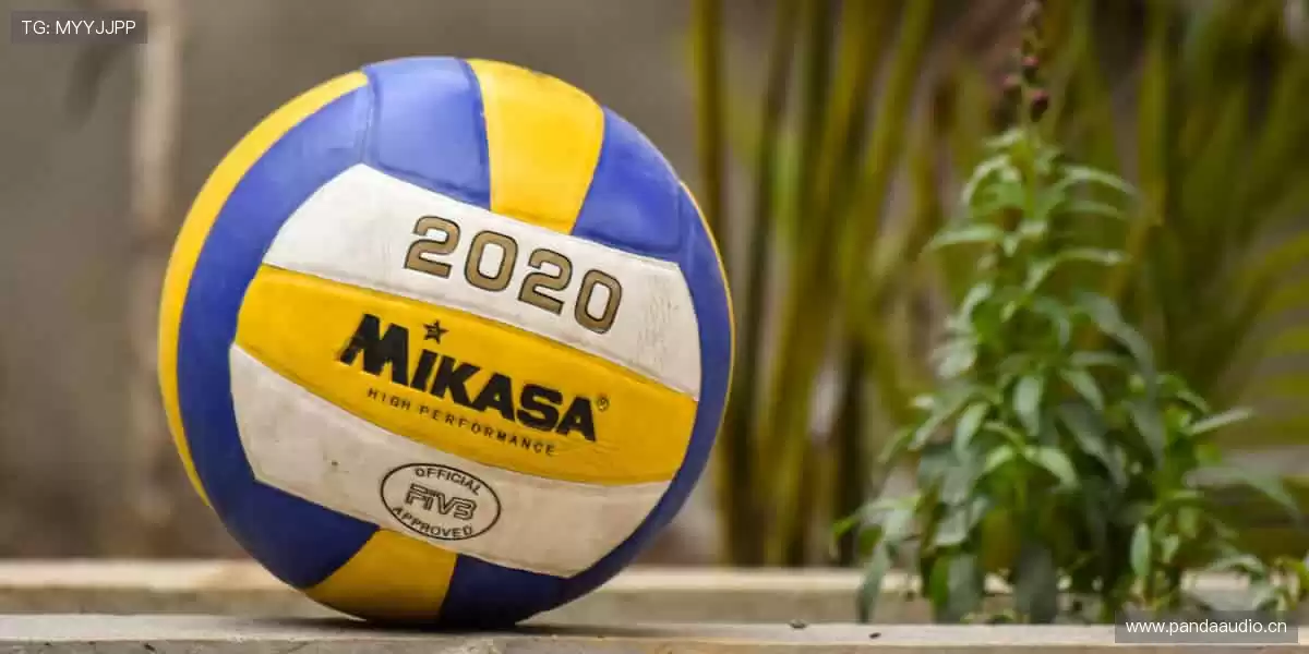 🏋️‍♂️专业品质，耐用舒适！从健身器材到运动服饰，你的健康首选！🎽